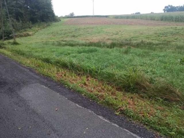 Grunt na sprzedaż w Jasień, Małopolskie