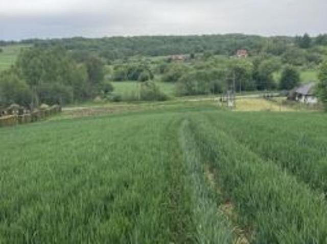 Grunt na sprzedaż w Jasień, Małopolskie