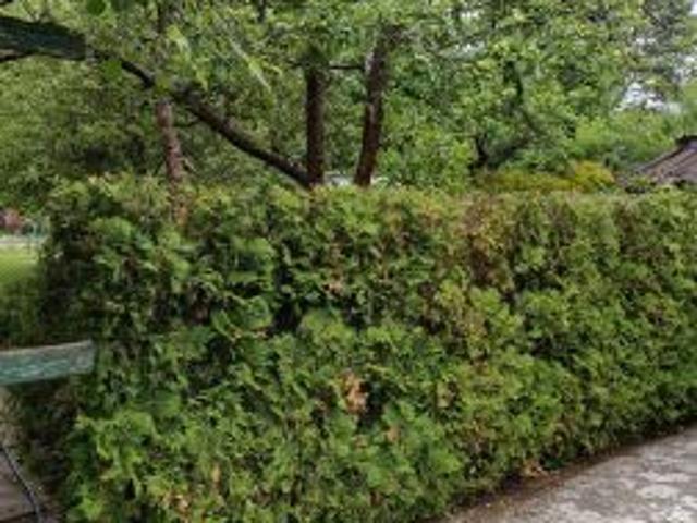 Grunt na sprzedaż w Poznań, Wielkopolskie
