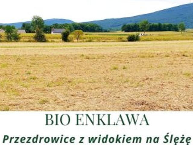 Grunt na sprzedaż w Przezdrowice, Dolnośląskie
