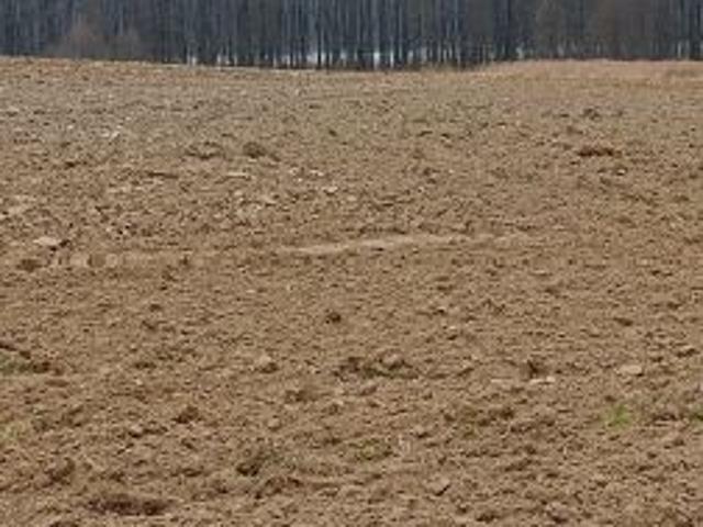 Grunt na sprzedaż w Przybiernów, Zachodniopomorskie