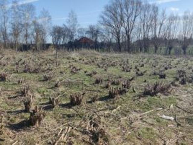 Grunt na sprzedaż w Przybroda, Wielkopolskie