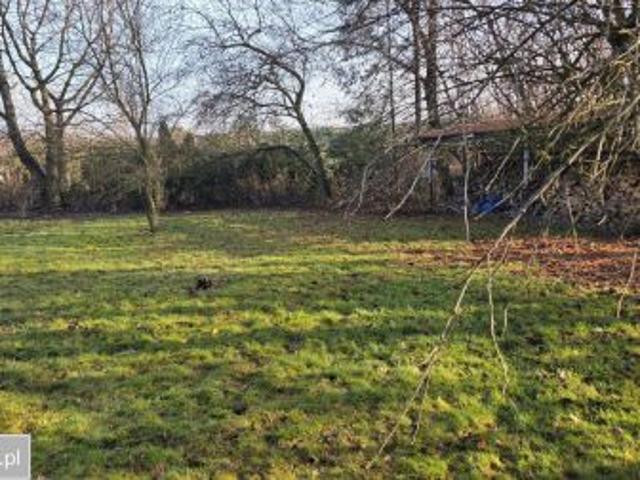 Grunt na sprzedaż w Pszczyna, Śląskie