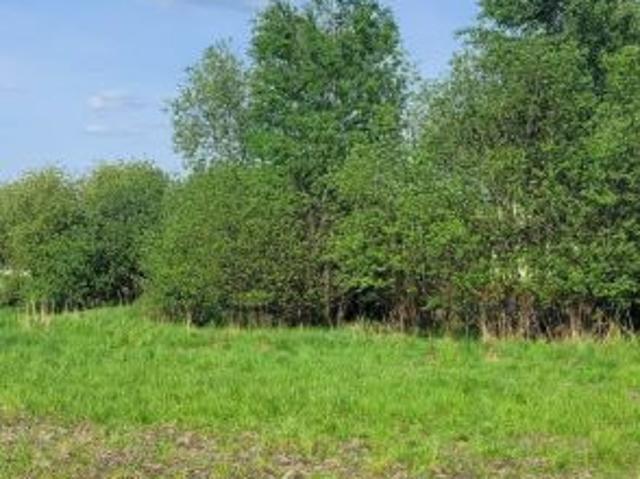 Grunt na sprzedaż w Pyskowice, Śląskie