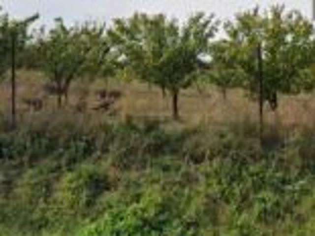 Grunt na sprzedaż w Pyzdry, Wielkopolskie