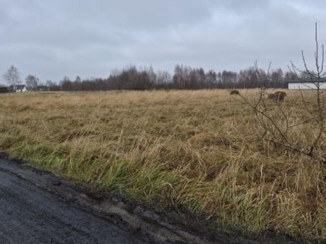 Grunt na sprzedaż w Radomsko, Łódzkie