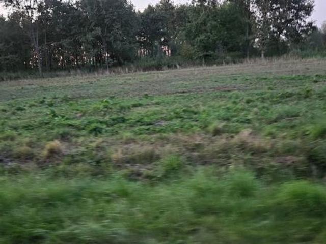 Grunt na sprzedaż w Radomyśl Wielki, powiat mielecki