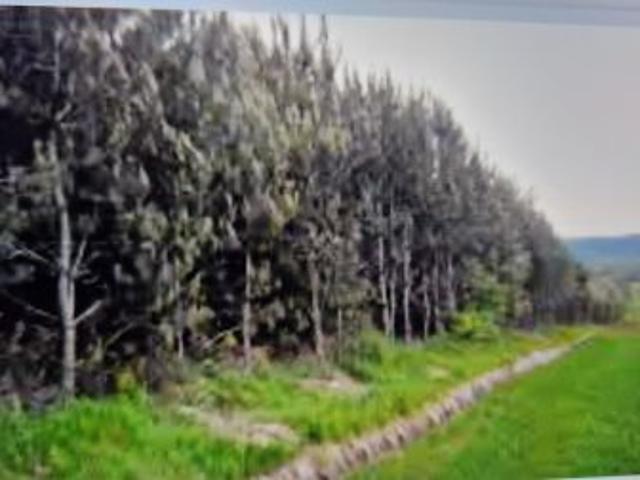 Grunt na sprzedaż w Rakszawa, Podkarpackie