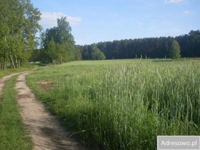 Grunt na sprzedaż w Raszków, Wielkopolskie