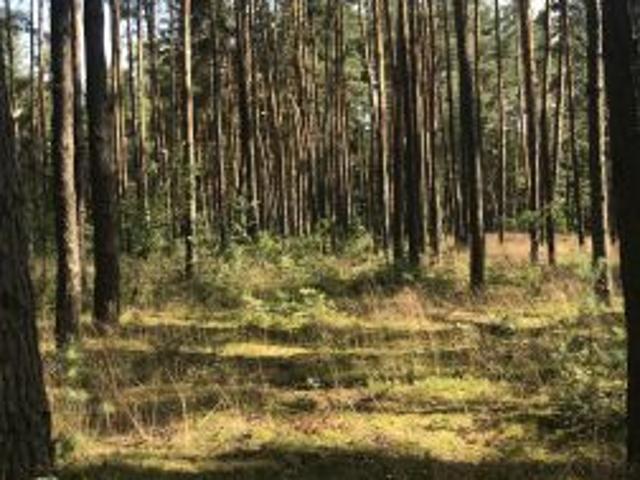 Grunt na sprzedaż w Rudnik nad Sanem, powiat niżański