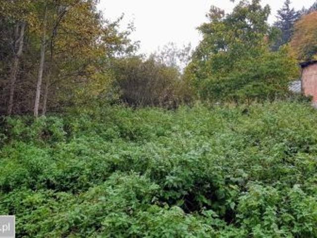 Grunt na sprzedaż w Rumia, Pomorskie