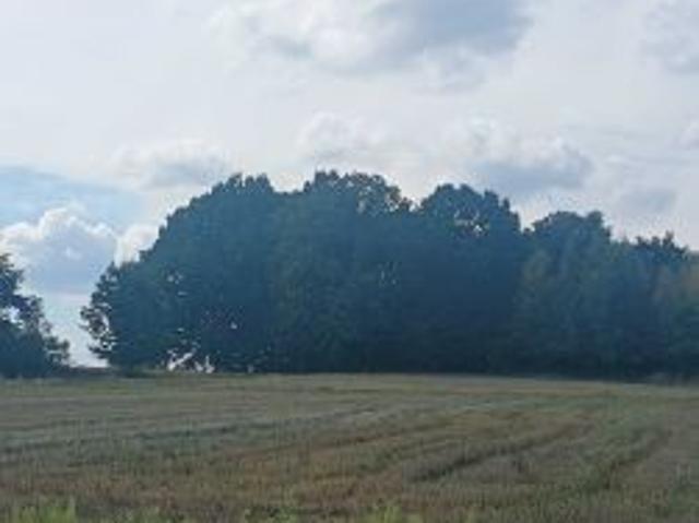 Grunt na sprzedaż w Rybnik, Śląskie