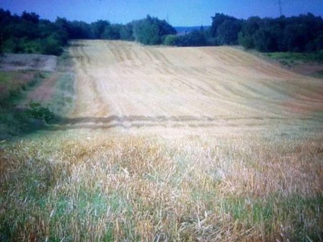 Grunt na sprzedaż w Rybnik, Śląskie