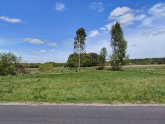 Grunt na sprzedaż w Rychlik, Wielkopolskie