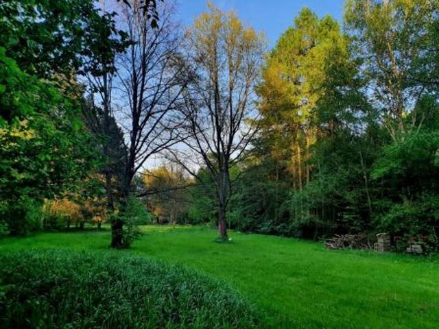 Grunt na sprzedaż w Rydzynki, Łódzkie