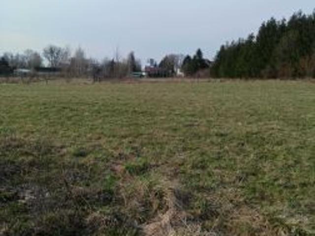 Grunt na sprzedaż w Rypin, Kujawsko-pomorskie