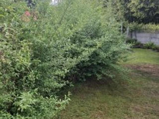 Grunt na sprzedaż w Rzeszów, Podkarpackie