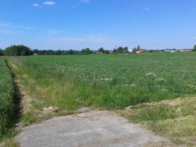 Grunt na sprzedaż w Sędziszów Małopolski, Podkarpackie