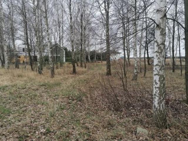 Grunt na sprzedaż w Sękocin Nowy, Mazowieckie