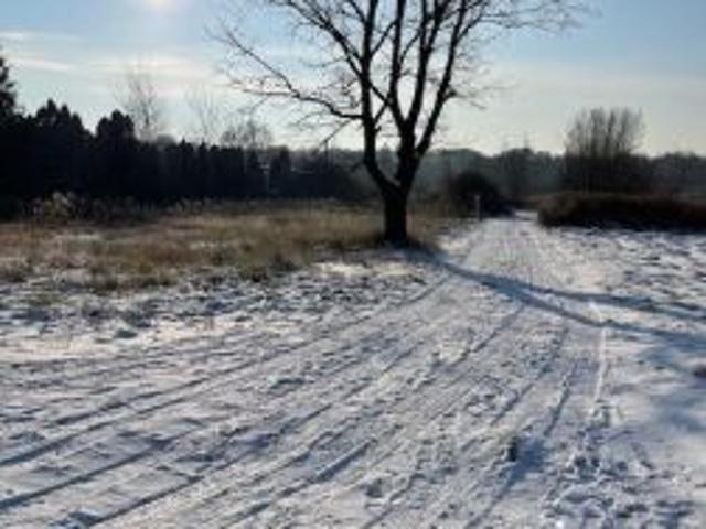 Grunt na sprzedaż w Sękocin Stary, Mazowieckie