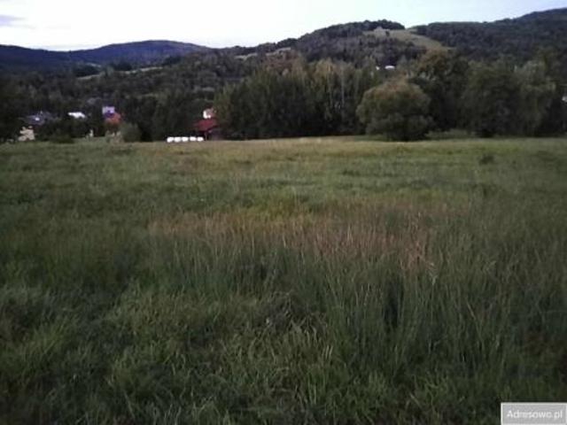 Grunt na sprzedaż w Sękowa, Małopolskie