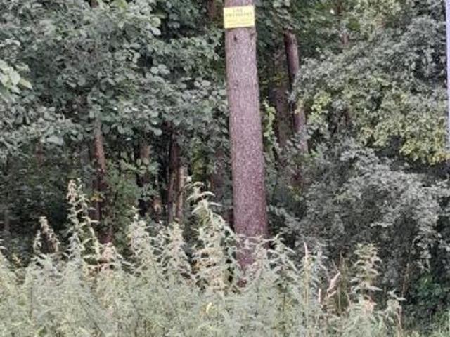 Grunt na sprzedaż w Sępólno Krajeńskie, Kujawsko-pomorskie
