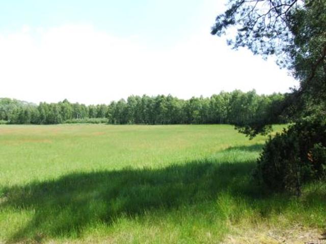 Grunt na sprzedaż w Sąsieczno, Kujawsko-pomorskie