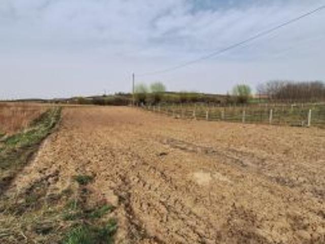 Grunt na sprzedaż w Sandomierz, powiat sandomierski