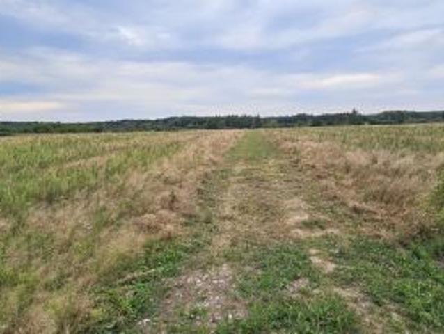 Grunt na sprzedaż w Sawin, Lubelskie