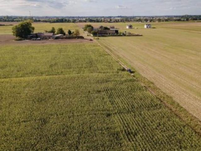 Grunt na sprzedaż w Siekierki Wielkie, Wielkopolskie