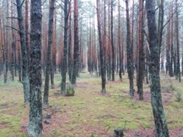 Grunt na sprzedaż w Siemiatycze, Podlaskie