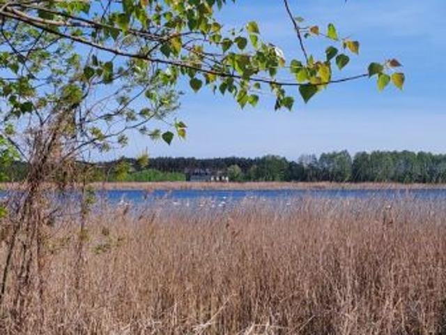 Grunt na sprzedaż w Skępe, Kujawsko-pomorskie