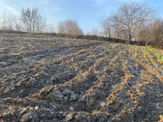 Grunt na sprzedaż w Skalbmierz, Świętokrzyskie