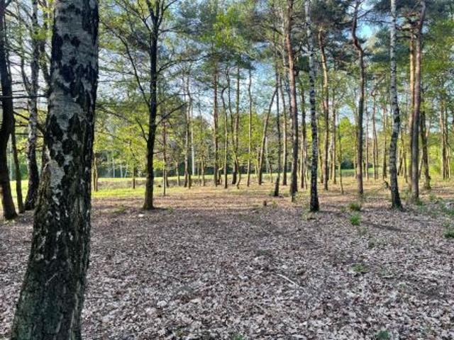 Grunt na sprzedaż w Skierniewice, Łódzkie