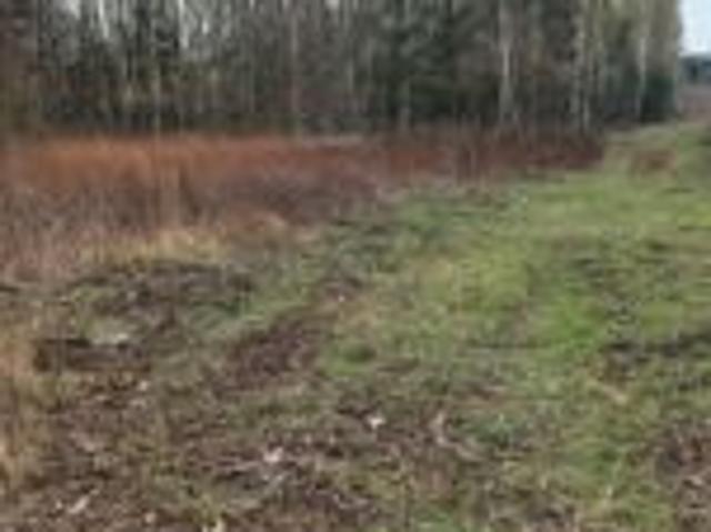 Grunt na sprzedaż w Skierniewice, Łódzkie