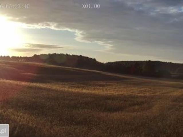 Grunt na sprzedaż w Skoki, Wielkopolskie