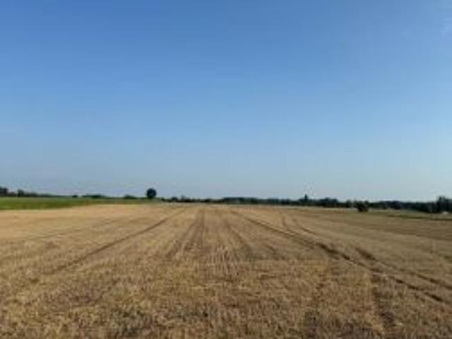Grunt na sprzedaż w Skorzęcin, Wielkopolskie