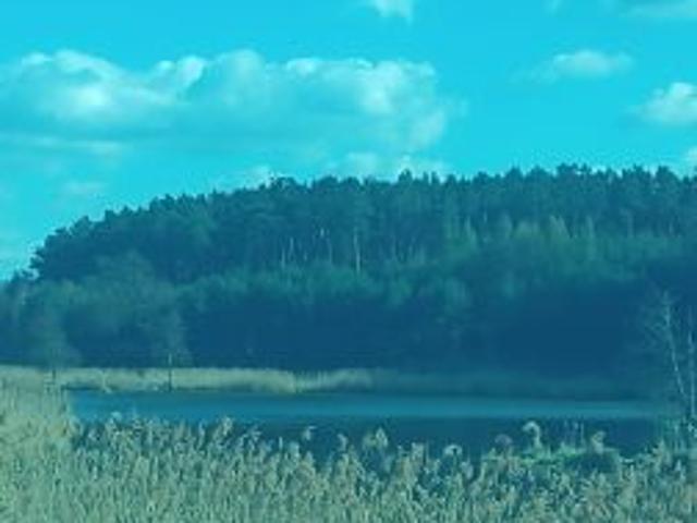 Grunt na sprzedaż w Smyczyna, Wielkopolskie