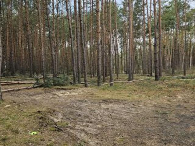 Grunt na sprzedaż w Solec Kujawski, Kujawsko-pomorskie