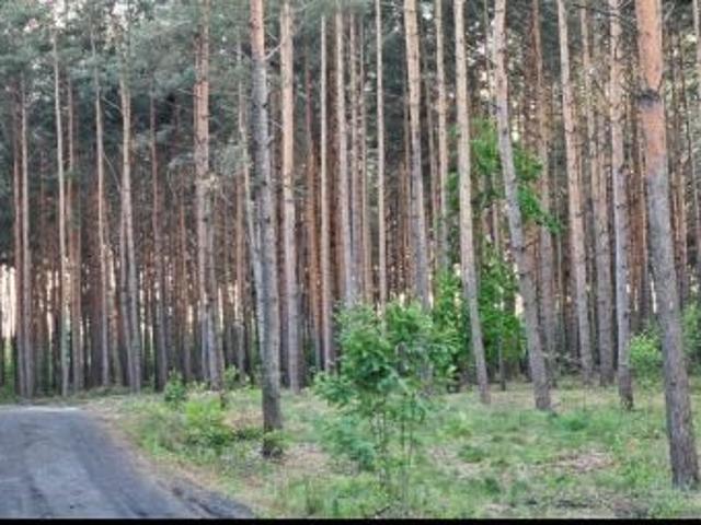 Grunt na sprzedaż w Solec Kujawski, Kujawsko-pomorskie