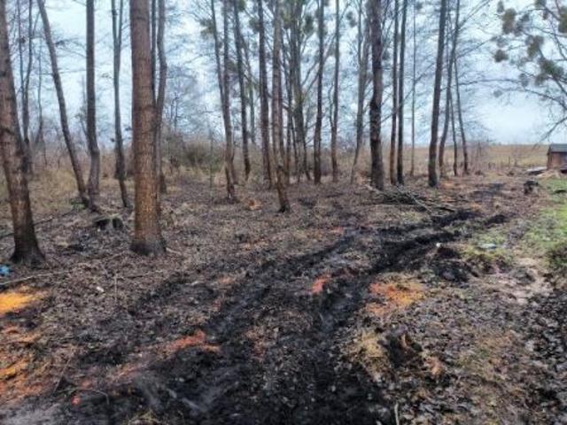 Grunt na sprzedaż w Stęszew, Wielkopolskie
