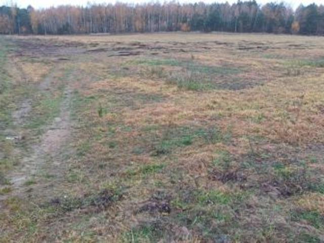 Grunt na sprzedaż w Stęszew, Wielkopolskie