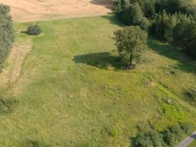Grunt na sprzedaż w Stara Kamienica, Dolnośląskie