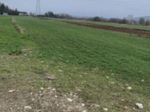Grunt na sprzedaż w Stary Sącz, Małopolskie