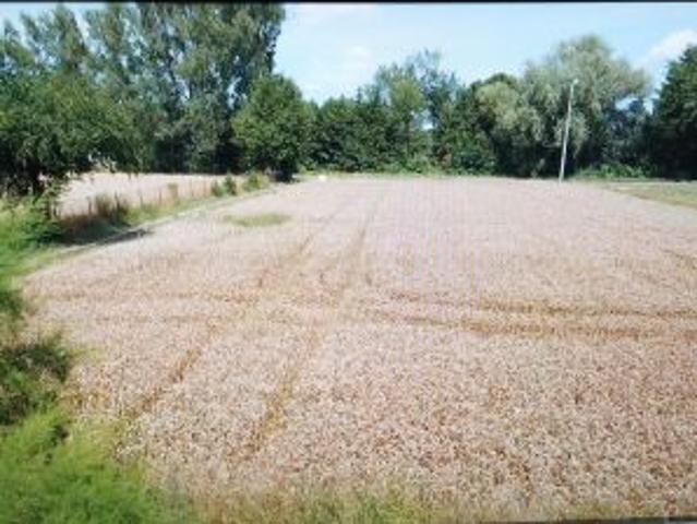 Grunt na sprzedaż w Stasin, Lubelskie