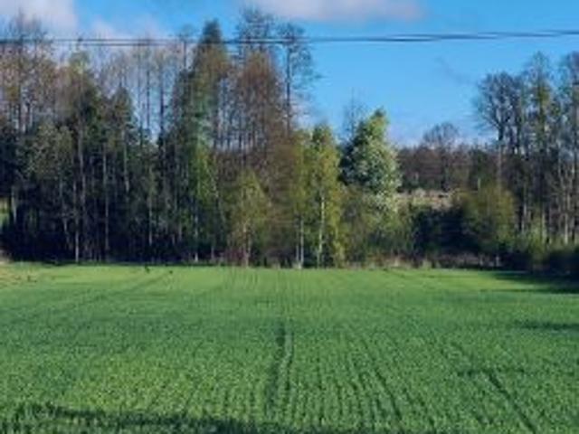 Grunt na sprzedaż w Stoczek, Mazowieckie