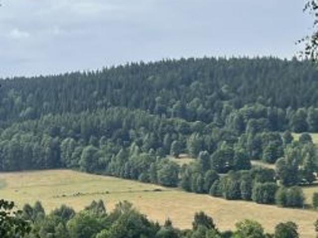 Grunt na sprzedaż w Stronie Śląskie, Dolnośląskie