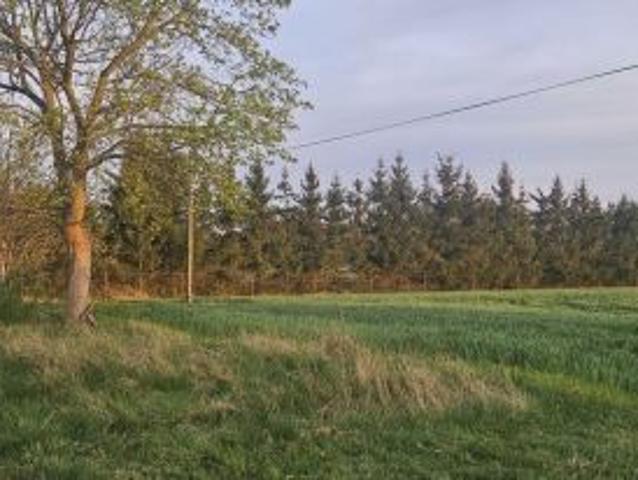 Grunt na sprzedaż w Strzelce Krajeńskie, Lubuskie