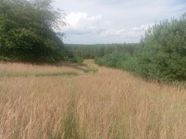 Grunt na sprzedaż w Strzelczyki, Wielkopolskie
