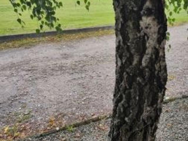 Grunt na sprzedaż w Strzyżewo Paczkowe, Wielkopolskie